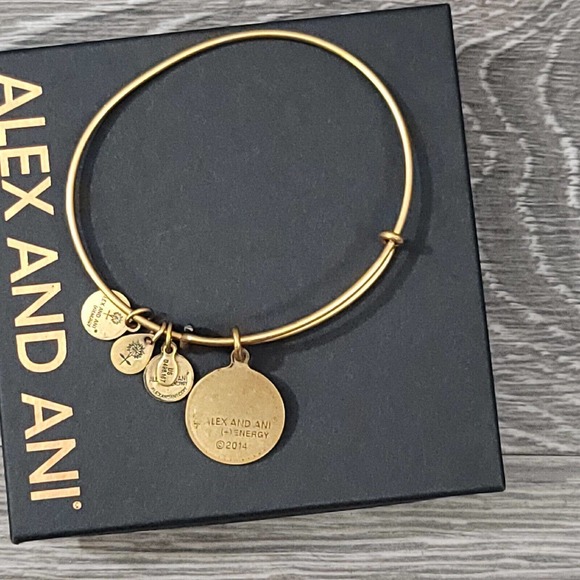 Alex and Ani Open Love Charm Bracelet - Picture 10 of 10